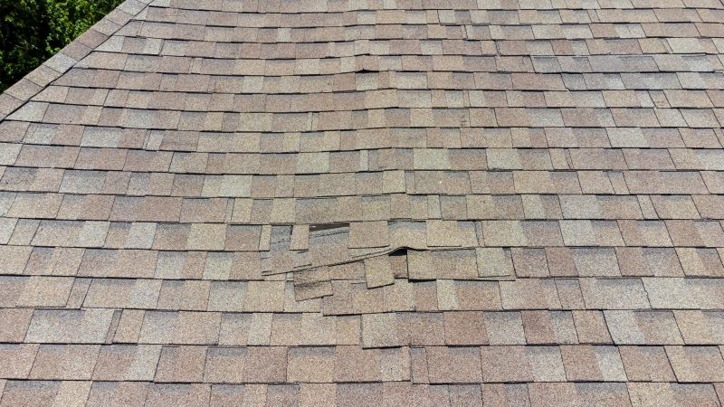 Asphalt Roof Inspection in Union City, NJ