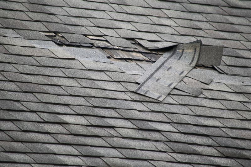 Asphalt Roof Leak Repair in Elmont, NY