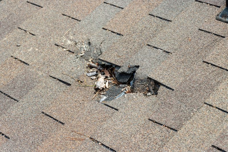 Asphalt Roof Replacement in Bergenfield, NJ
