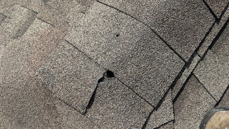 Damaged Roof Repair in Jersey City, NJ