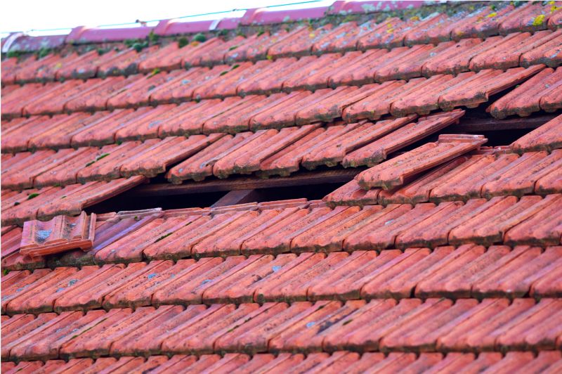 Roof Damage Inspection in South Richmond Hill, NY