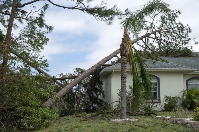 Storm Damage Roof Repair in Fort Lee, NJ