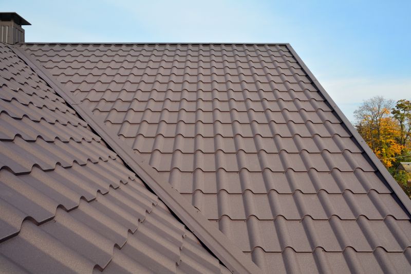 Tin Roof Installation in Lodi, NJ